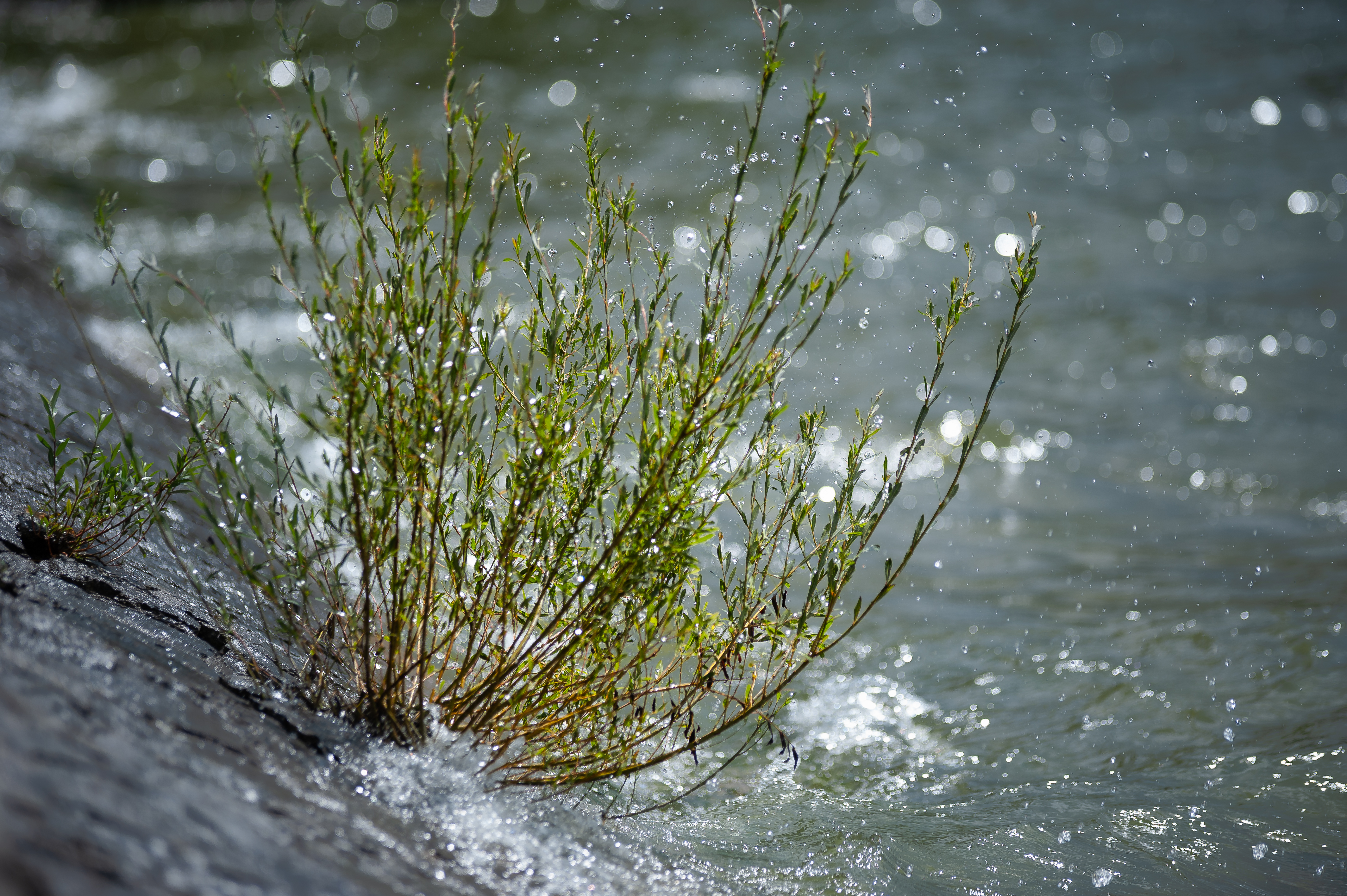 Ausflug Ammersee 6330